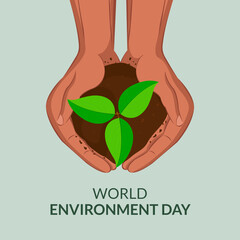 Hands Holding soil and small growling tree World environment day concept