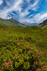 Fototapeta premium Typical alpine landscape in early summer near Damuls, Vorarlberg, Austria