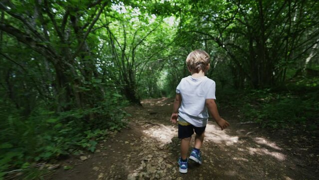 Child walking in forest path kid hiking outdoors