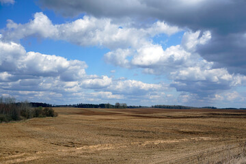 Naklejka na ściany i meble Rural landscape. Expanses of horizon forest. Plowed field. Spring day. blue sky and clouds