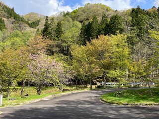 road in the mountains