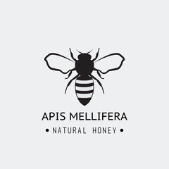 Realistic black bee emblem with text. Apis mellifera realistic black image. Bee logo.