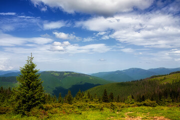 Fototapeta na wymiar Mountain peaks, forest, clouds and blue sky