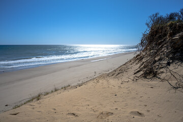Cape Cod in springtime Ballstoom beach North Truro
