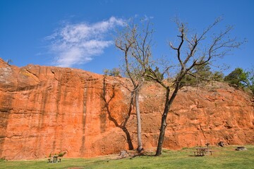 Old tree in Red Rock Canyon State Park (SP) in the State of Oklahoma, USA
