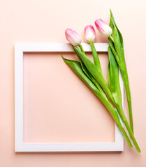 White square empty frame and three pink tulips on it on pastel pink. Top view. Copy space. Mock up.
