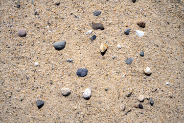 Cape Cod in springtime close up view of pebbles on the beach at Head of the Meadow