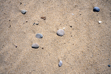 Fototapeta na wymiar Cape Cod in springtime close up view of pebbles on the beach at Head of the Meadow