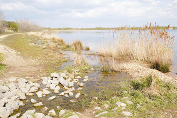 Ufer am Zwenkauer See bei Leipzig