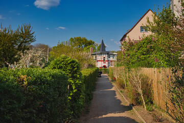 Fototapeta na wymiar Weg in einer Gartenanlage mit Hecke, Garten, Leipzig, Deutschland
