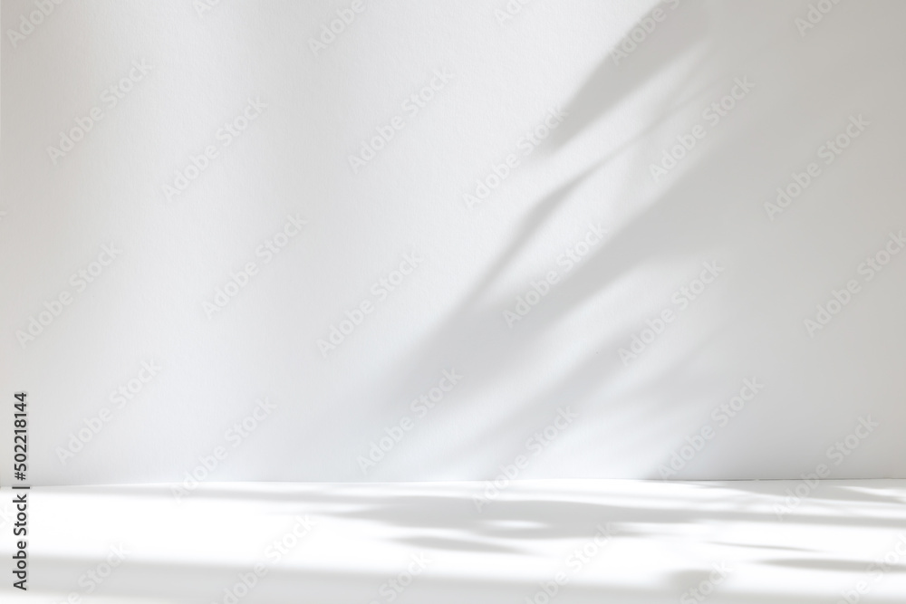 Poster Abstract white studio background for product presentation. Empty room with shadows of window and flowers and palm leaves . 3d room with copy space. Summer concert. Blurred backdrop.