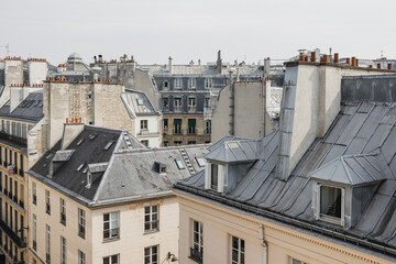 City roofs - Paris, France - obrazy, fototapety, plakaty