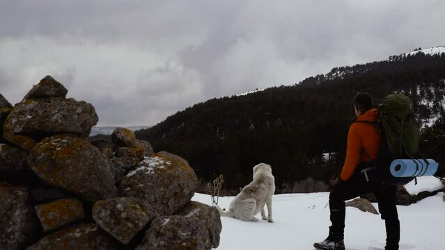 man on trekking with his dog watching the view on the mountain in winter