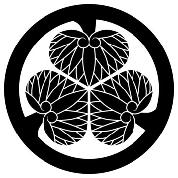 家紋です。尾州三つ葵といいます。