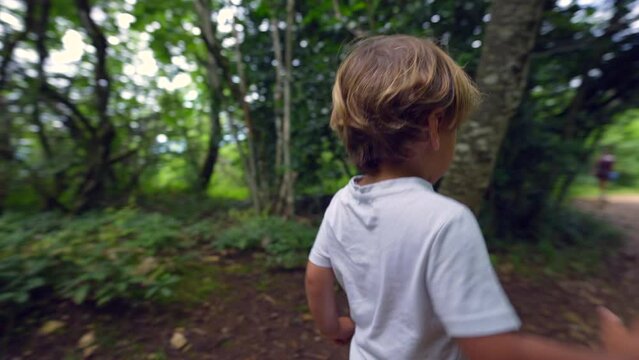 Little boy hiking outside in nature path child in green outdoors