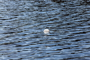 water in the lake in calm, windy weather