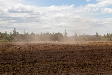 part of the territory of an agricultural field with fertile soil
