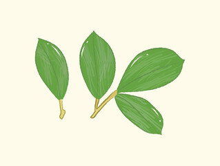 Green banyan leaves on yellow background in flat illustration art design