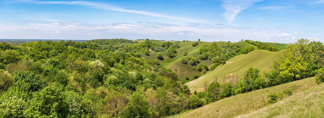 Beautiful panorama of green hills and blue sky in spring or summer season - Zagajicka brda - obrazy, fototapety, plakaty