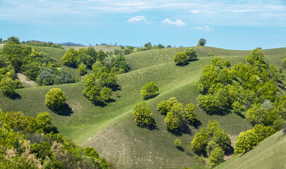 Beautiful green hills, pastures and trees of Zagajicka brda in Serbia near Vrsac - obrazy, fototapety, plakaty