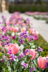Obraz premium Flowers