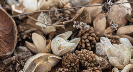 Close-up dried flowers, dried plants macro photography.