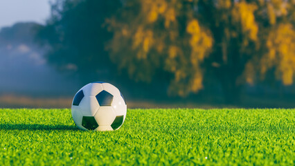 Fototapeta premium Football Soccer ball on fresh cut grass outdoor sports football fans concept relaxing chilling in nature tournament concept 3d rendering