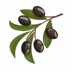 Olive branch with green leaves. Icon of olives on a branch.
