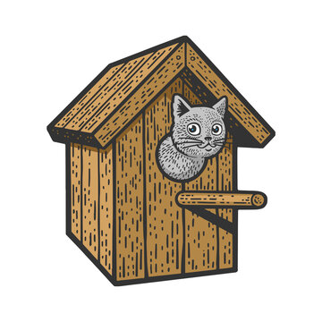 Cat in birdhouse color sketch engraving raster illustration. T-shirt apparel print design. Scratch board imitation. Black and white hand drawn image.