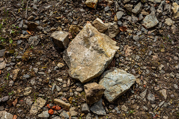 Big stone against the background of grass.