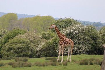Port Lympne