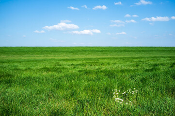 Rural landscape.Field with green fresh grass against a blue sky and white clouds, on a spring sunny day. Beautiful picture.