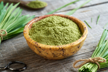 Barley grass powder with fresh barley grass plant