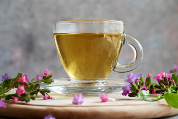 Herbal tea with fresh lungwort or pulmonaria flowers