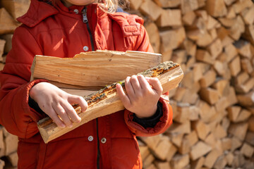 Little girl hand hold wooden logs. An armful of firewood. A pile of stacked firewood, prepared for heating the house. Gathering fire wood for winter or bonfire
