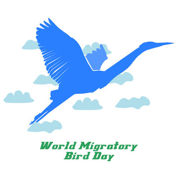 World Migratory Bird day design vector