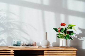 Modern minimalist Scandinavian style interior. Candles, ceramic vase and House plant red Anthurium in a pot on a wooden console under sunlight and shadows on a white gray wall. Living room design
