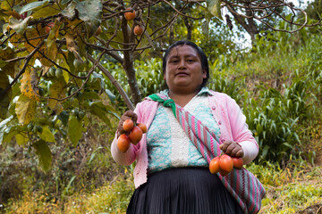 Mujer latina familia, campesina.  mujer en el campo. agrícola latino. árboles frutales, campo. en...