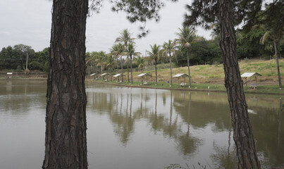 Small Lake Framed by Trees. Relaxing Outdoor View.