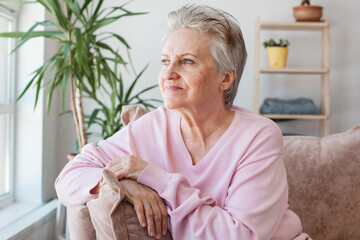 Smiling middle aged mature grey haired woman at home