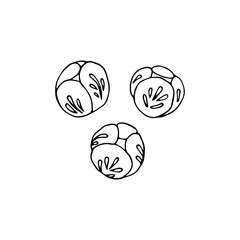 Brussels sprouts hand drawn sketch vector doodle illustration. Green vegetables healthy food clipart