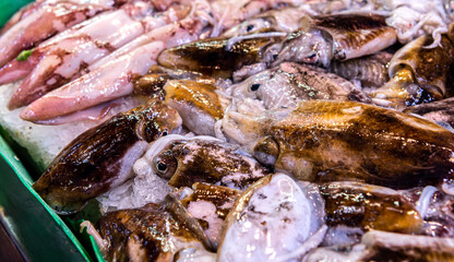 Fish market in Spain. Counter with mediterranean
seafood. Cuttlefish