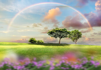   meadow  green field  and tree  rainbow  blue  pink sunset cloudy  sky with  floral  summer beach holiday countryside nature landscape 