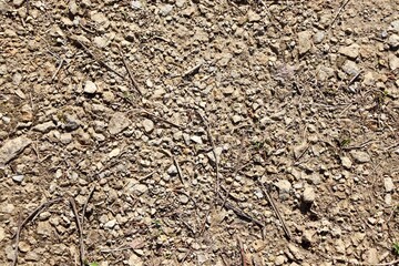 A close view of the gravel path surface.