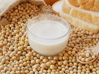 Hot cup of soy milk on lots of soy beans with sack of soy beans and two pieces of breads and wooden bowl of soy beans 