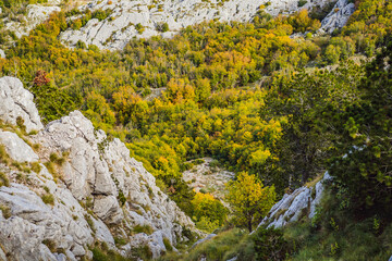 Summer mountain landscape at national park Lovcen, Montenegro. Sunny summer day