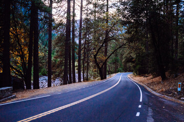Fototapeta premium Empty road leading through fall foliage at California with yellow lines in the forest in Mountains in Fall