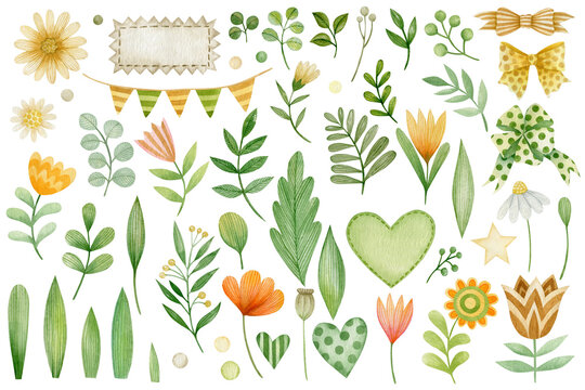 Set of cute watercolor illustrations of flowers, leaves, branches isolated on white background.