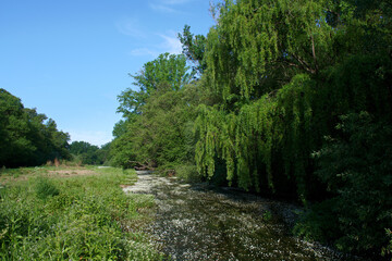 Fototapeta na wymiar krajobraz rzeka woda drzewa natura widok