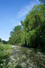 krajobraz rzeka woda drzewa natura widok